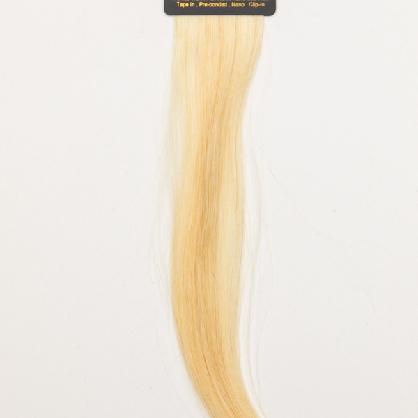 Champagne Blonde shade swatch